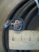 Фотография контрольного кабеля КВВГЭнг 7х4, на которой просматривается его конструкция