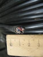 Фотография сечения контрольного экранированного кабеля КВВГЭнг 10х1.5 в оболочке и изоляции пониженной горючести