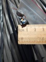 Фотография сечения силового алюминиевого кабеля АВВГнг 3х2,5 для стационарной групповой прокладки