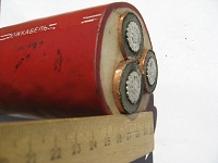 Фотография сечения кабеля с изоляцией из СПЭ маркировки АПвЭВ 3х185 на 25 кВ производства Южкабеля